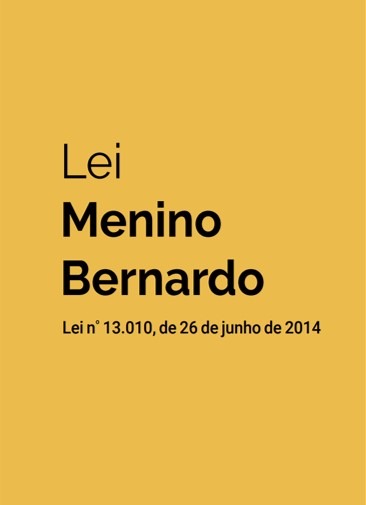 Lei Menino Bernardo